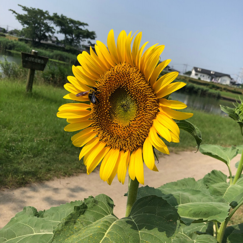 アンドアール