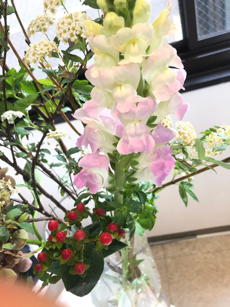 アンドアール