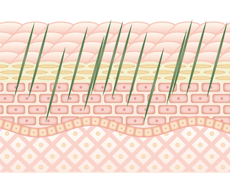 アンドアール